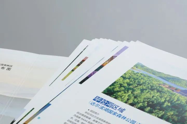 化妆品托运包装_化妆品包装盒内托_化妆品彩盒的内托有什么用
