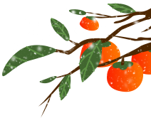 包装盒制作手工_包装盒制作过程_包装盒制作